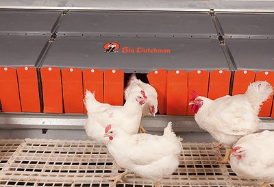 Modern poultry production: intelligent breeder management with group laying nest “Relax”
