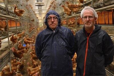 Dominique Bazin (Pier Services, à gauche) et le producteur d'œufs Sébastien Robic dans la nouvelle volière.