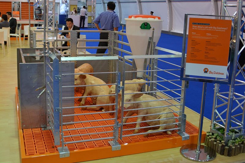 Instalaciones porcinas para el engorde de cerdos