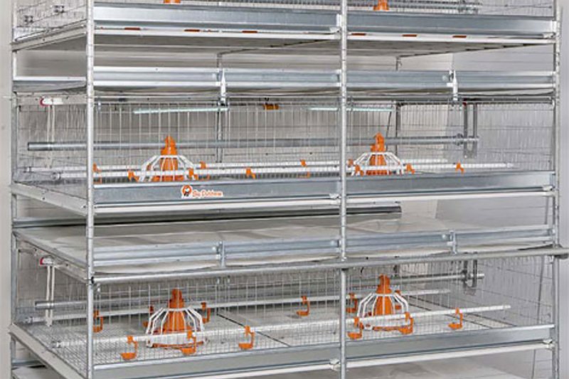 Big Dutchman innovations for successful poultry production