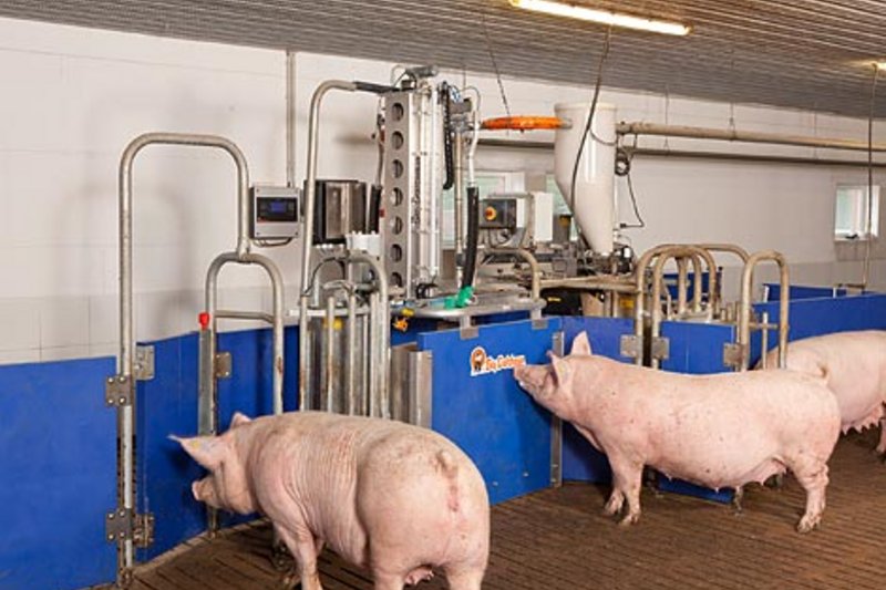CallMatic Pro: Electronic sow feeding for group housing of sows