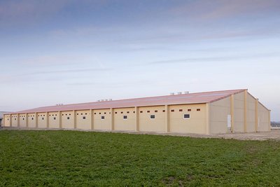 Nouveau bâtiment pour l'élevage de porcs 